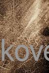 Ковер SUNRISE 2 D461 BEIGE Ковер SUNRISE 2 D461 BEIGE