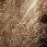 Ковер SUNRISE 2 D461 BEIGE Ковер SUNRISE 2 D461 BEIGE